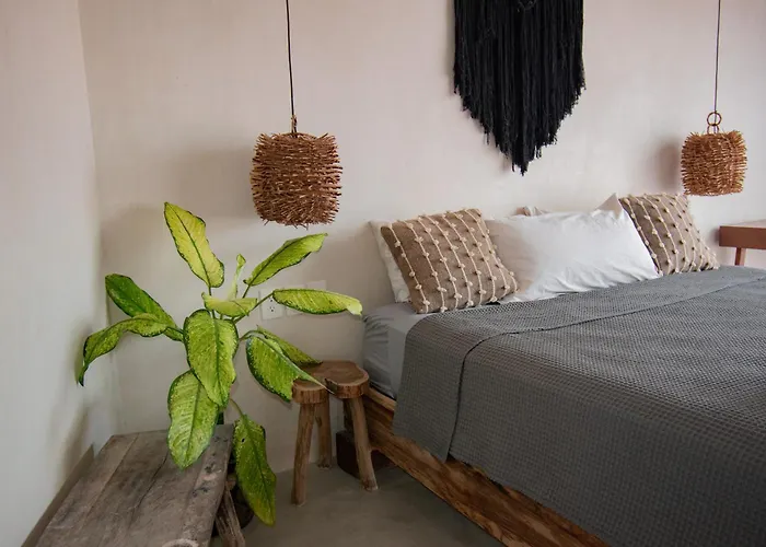 Vida Jungle Incl Rooftop Pool *